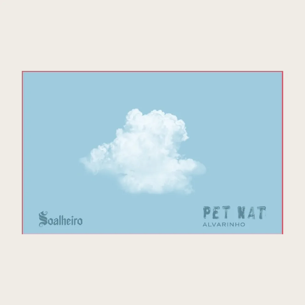 Pet Nat Alvarinho 2023 label